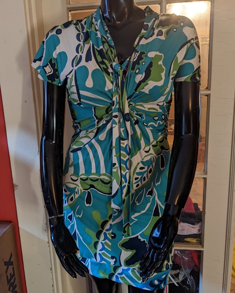 A Pea in the Pod/Hale Bob collab maternity dress